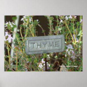 Póster Thyme