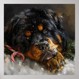Poster Tibetan Mastiff Cachorro Festivo