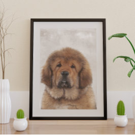 Póster Tibetano Mastiff Poster