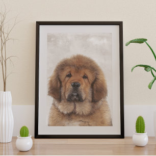 Póster Tibetano Mastiff Poster