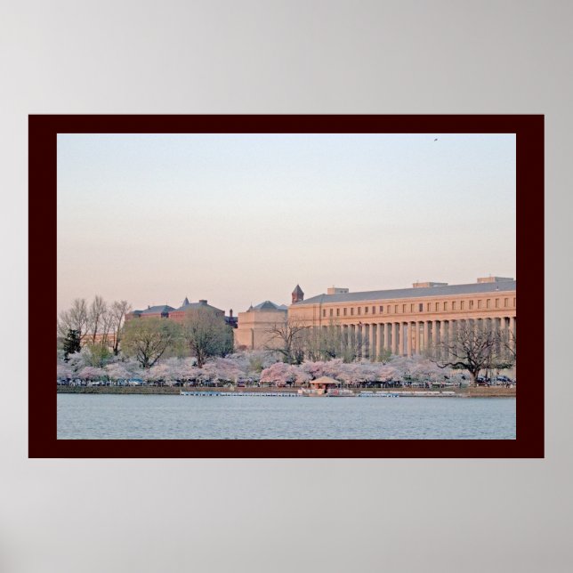 Póster Tidal Basin (Frente)