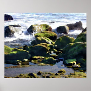 Póster Tidepools litoral