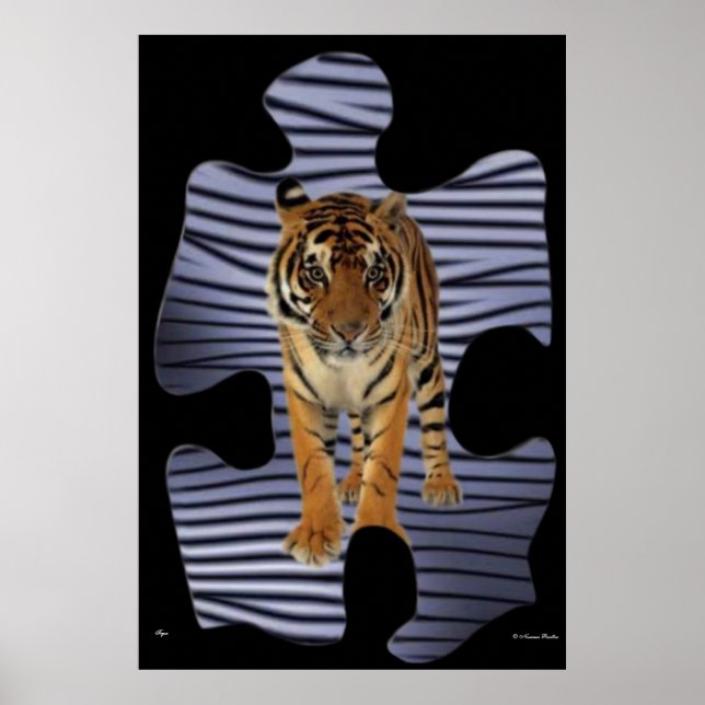 Poster Tiger (Frente)