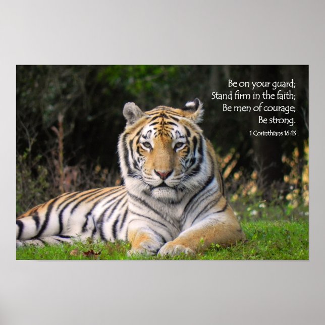Poster Tiger (Frente)