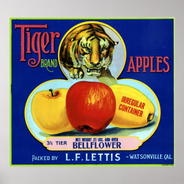 Póster Tiger Apples Watsonville California (Frente)