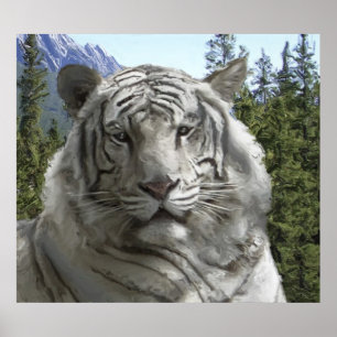 Póster TIGER BRANCO no HABITAT FLORESTAL