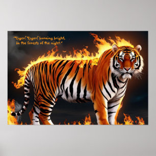 Poster Tiger Burning