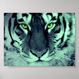 Póster Tiger Eyes