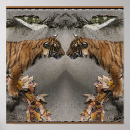 PÓSTER TIGER FACE OFF HIDDEN IMAGE