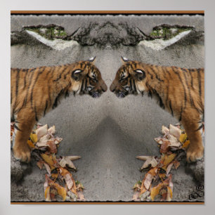 PÓSTER TIGER FACE OFF HIDDEN IMAGE