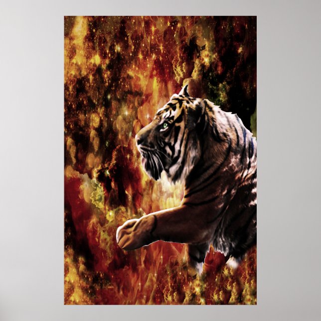 Poster Tiger Galaxy (Frente)