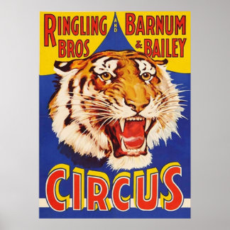 Poster TIGER GROcus Ringling Bros Circus Anima