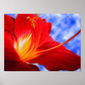 Poster Tiger Lily "desenho"