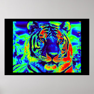 Póster Tiger Spirit