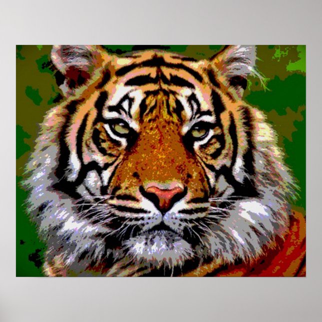 Poster Tiger Tiger (Frente)