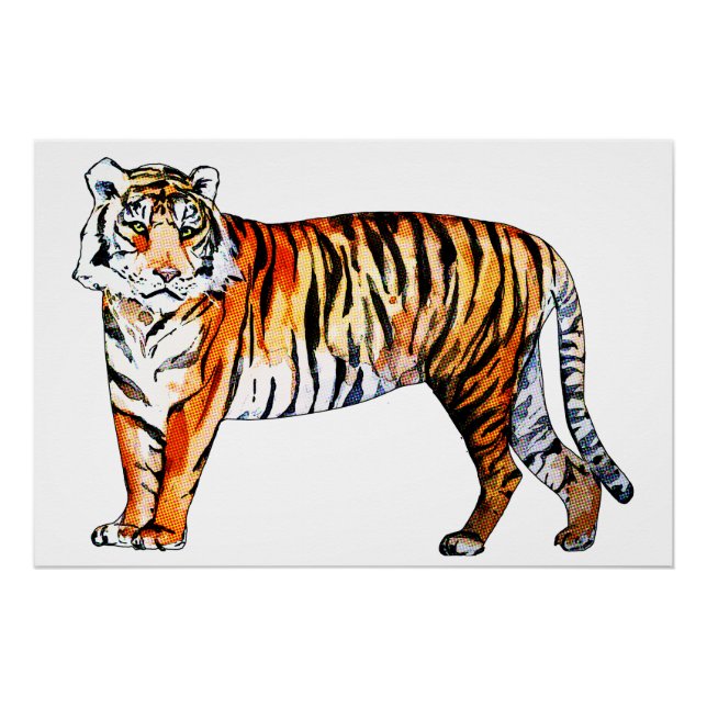 Póster Tiger Tiger (Frente)