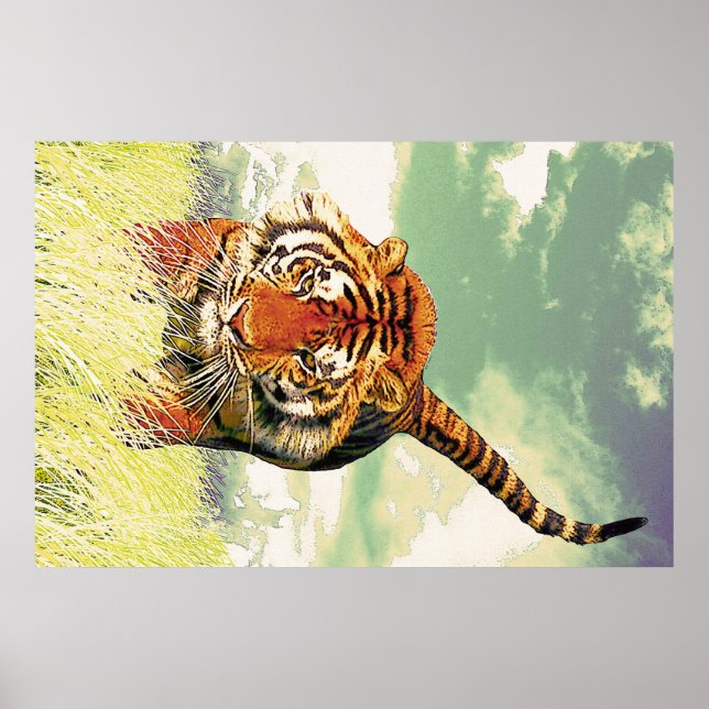 Poster Tiger Tiger! (Frente)