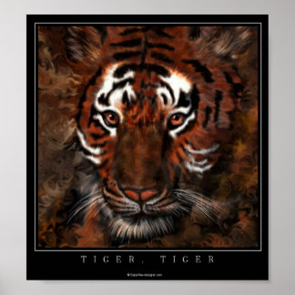 Póster Tiger, Tigre