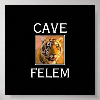 Poster TIGERBeware Do Gato - Em Lati.... - Personalizado