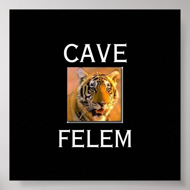 Poster TIGERBeware Do Gato - Em Lati.... - Personalizado (Frente)