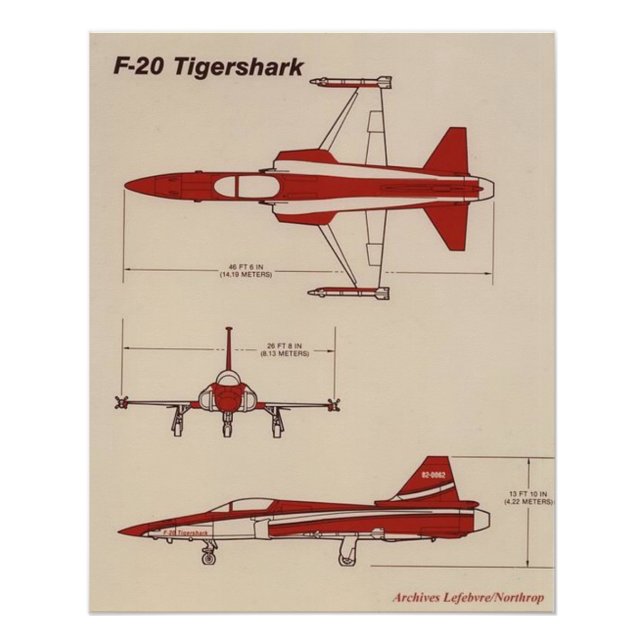 Póster tigershark f20 (Frente)