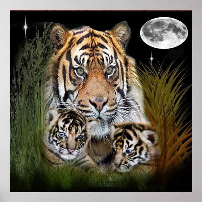 Poster Tigre (Frente)