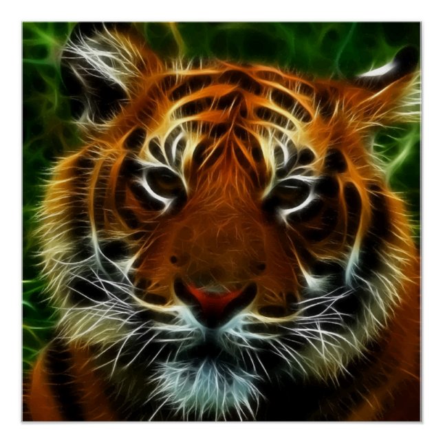 PÓSTER TIGRE (Frente)