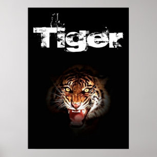 Póster Tigre