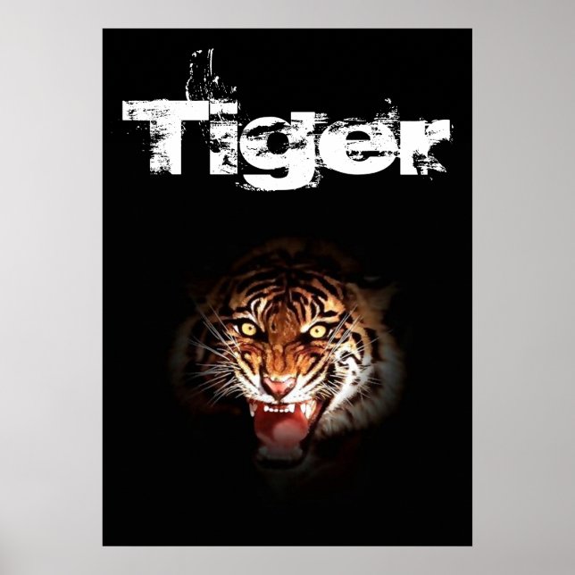 Póster Tigre (Frente)