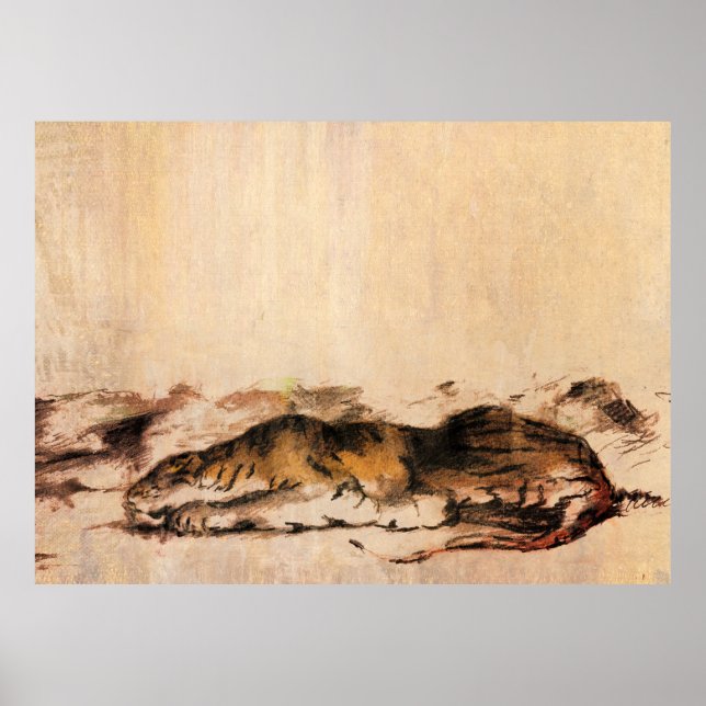 Poster tigre (Frente)