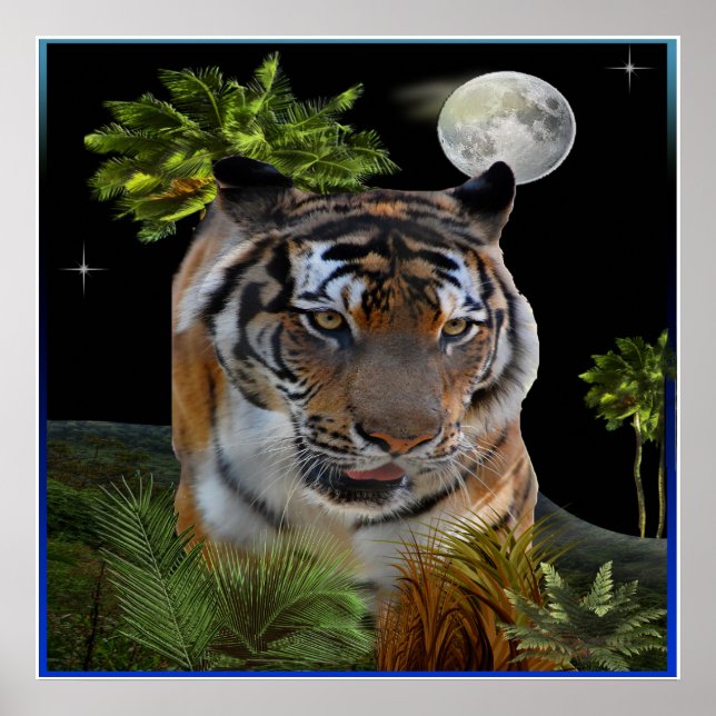 Poster Tigre (Frente)
