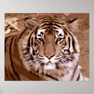 Poster Tigre