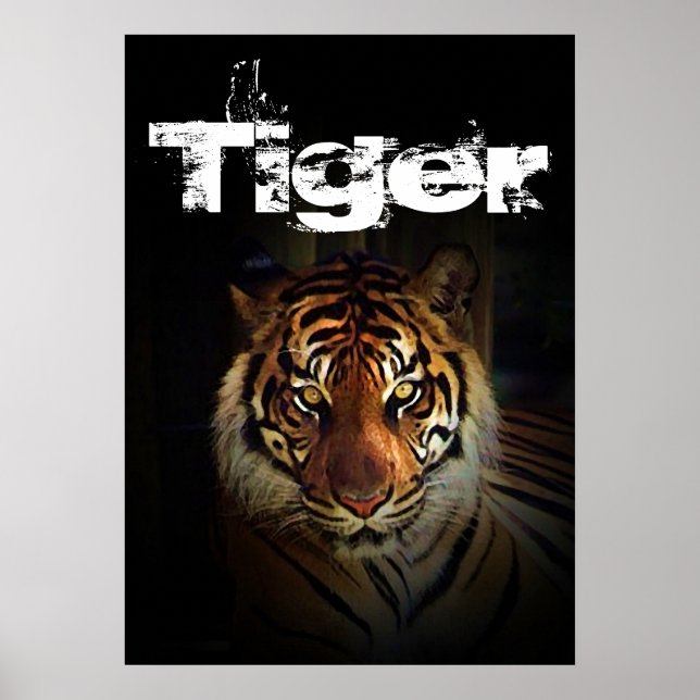 Póster Tigre (Frente)