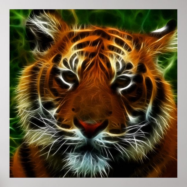 PÓSTER TIGRE (Frente)