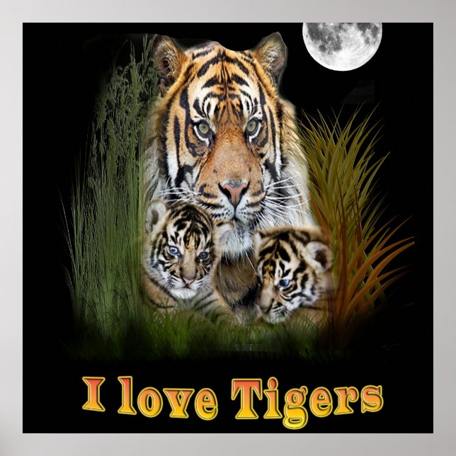 Poster tigre (Frente)