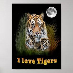 Poster tigre