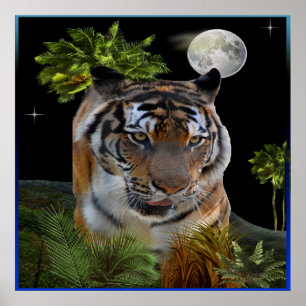 Póster Tigre