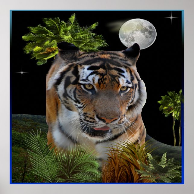 Póster Tigre (Frente)