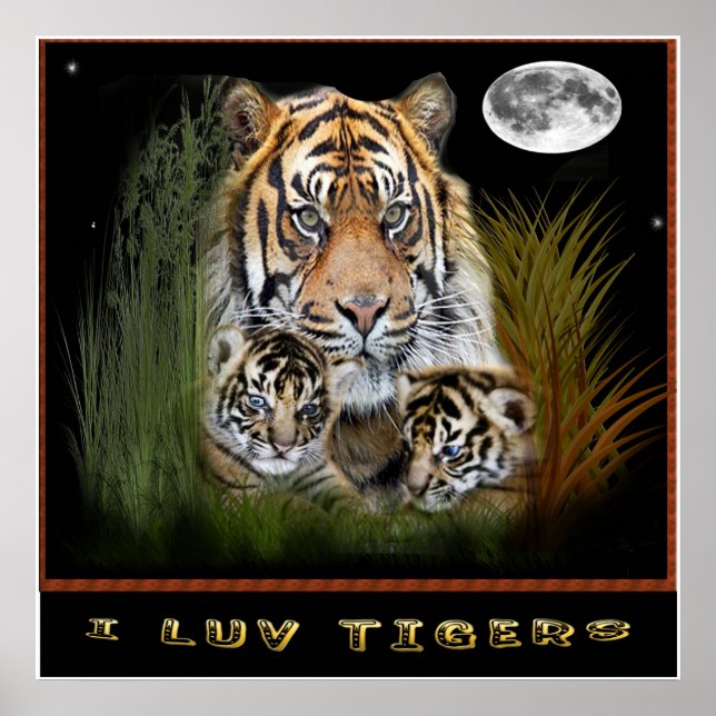 Póster Tigre art (Frente)