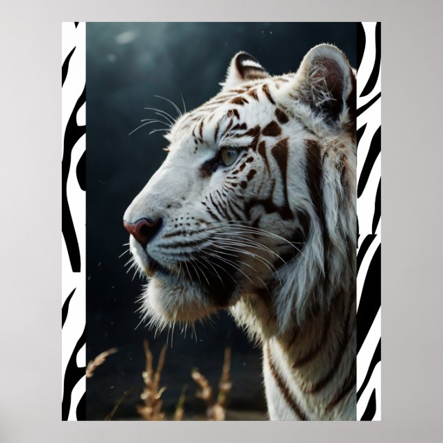 Poster Tigre branco (Frente)