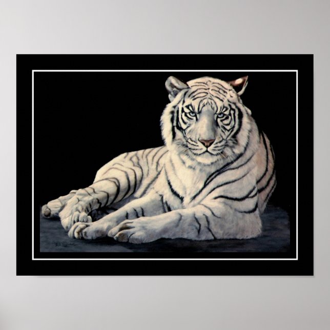 Póster Tigre Branco (Frente)
