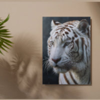Tigre branco