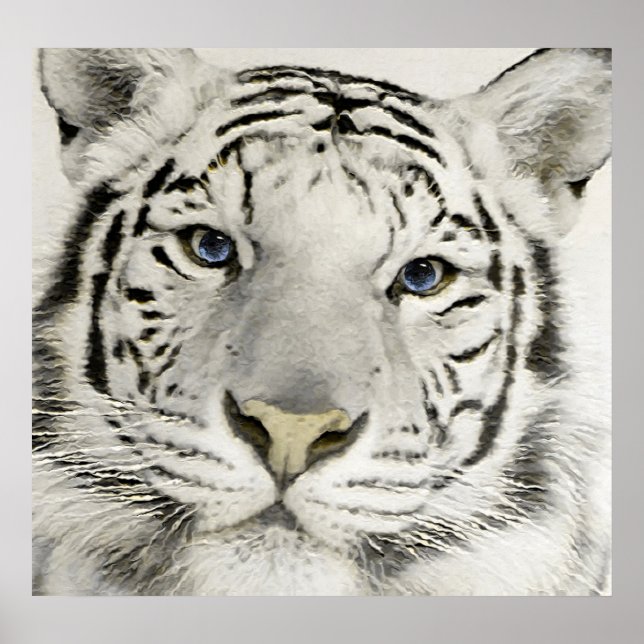 Póster Tigre Branco (Frente)