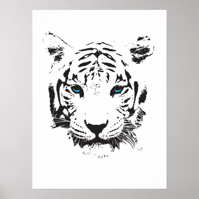 Poster Tigre branco com olhos azuis (Frente)