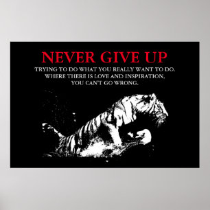 Poster Tigre Branco Negro Nunca Desiste De Motivação