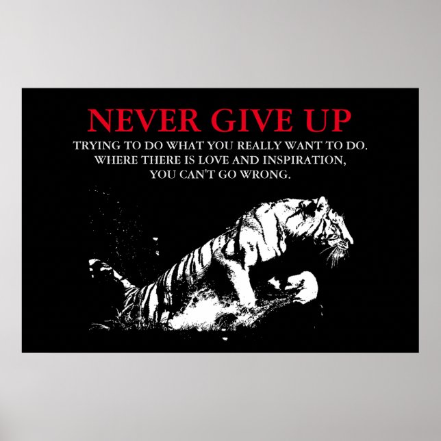 Poster Tigre Branco Negro Nunca Desiste De Motivação (Frente)