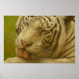 Poster Tigre Branco no Ritual de Alinhamento Privado