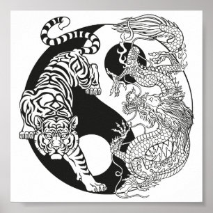 Poster Tigre branco versus dragão verde no yin yang ypo