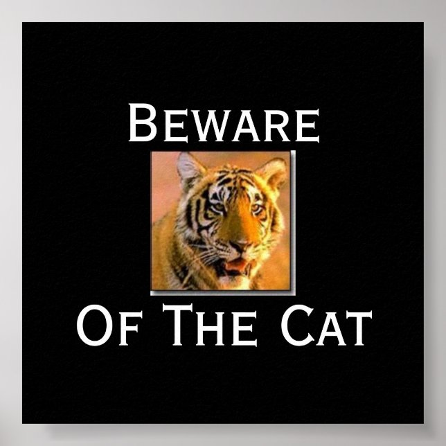Poster Tigre, Cuidado Com O Gato - Cus... - Personalizado (Frente)
