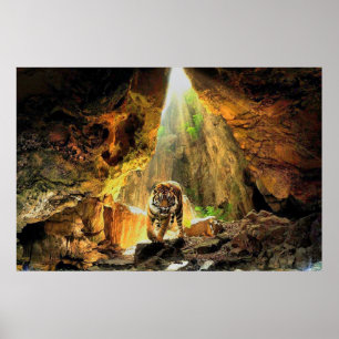 Póster Tigre de Bengal na caverna